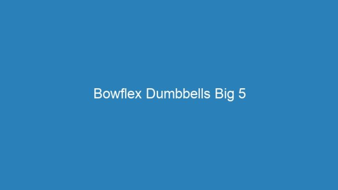 Bowflex Dumbbells Big 5