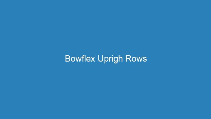 Bowflex Uprigh Rows