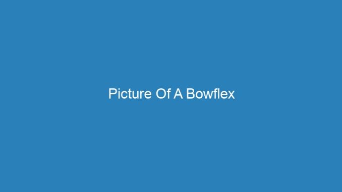 Picture Of A Bowflex